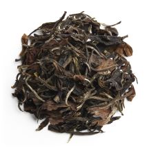 Bio Weißer Tee aus den Anden