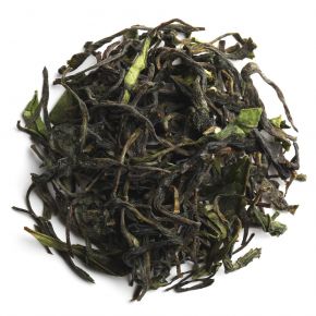 Oolong from Dharamsala