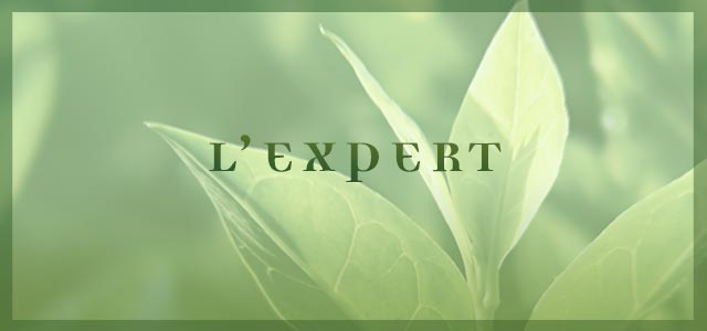 L'expert