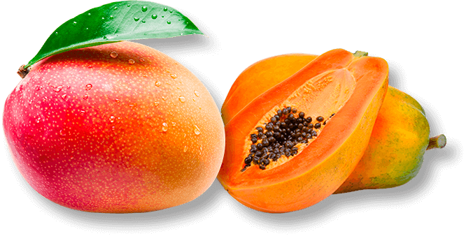 Mango und Papaya