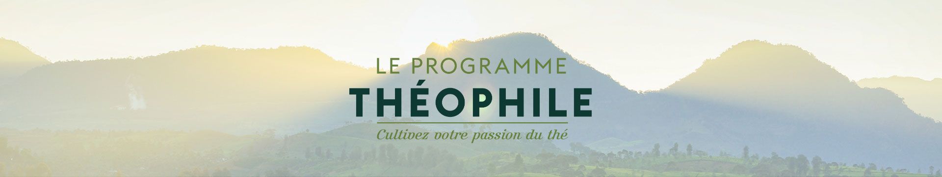 Le Programme Théophile