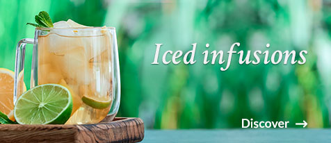 Iced infusions