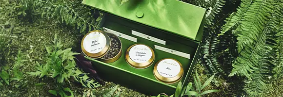 Grands Crus Gift Sets